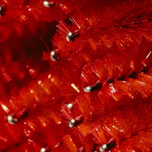 Lash Fill Bundle Deal 